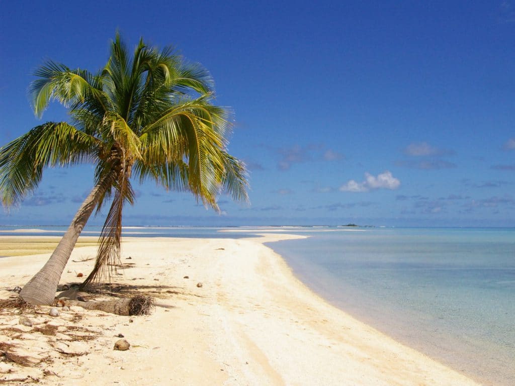 CocoAbsorb™ | Why Use All-Natural Coco Products?